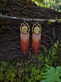 Image 1 of Brass ammonite 