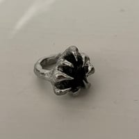 Image 2 of METEORITE TEKTITE RING