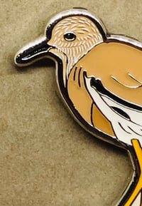 Image 3 of White-tailed Plover - October 2021 - UK Birding - Enamel Pin Badge