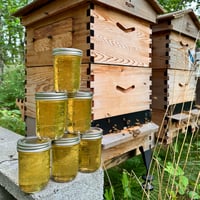 100% Raw, Sustainably Sourced, Wildflower Honey - 10oz