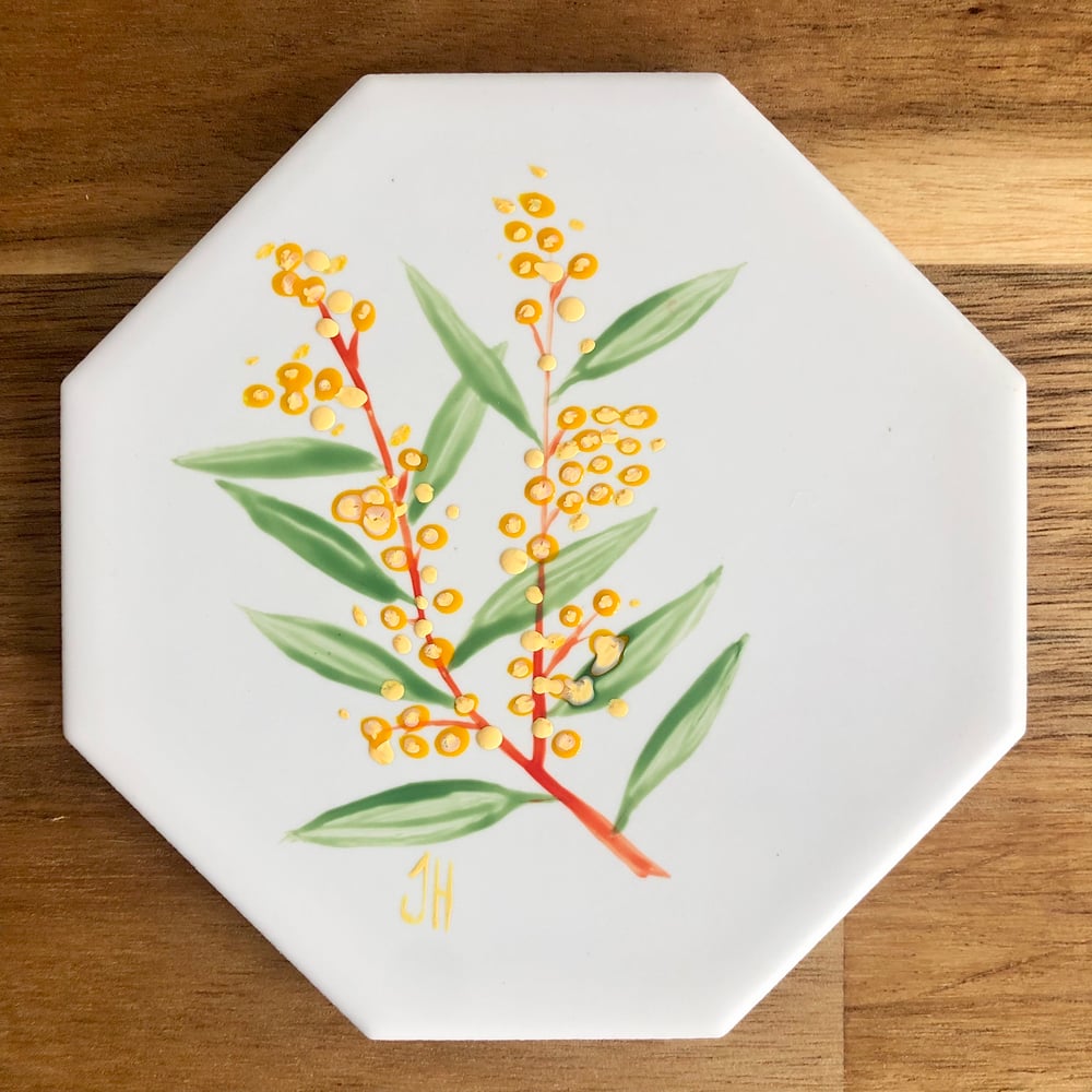 Wattle Coasters