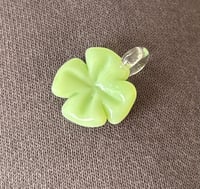 milky green clover