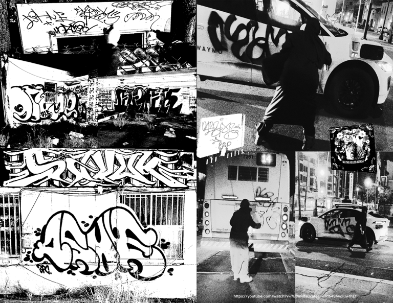 restrictedaccess/lp Image 2