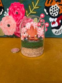 Image 1 of Small calcifer display dome 