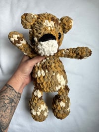 Image 2 of ever bear