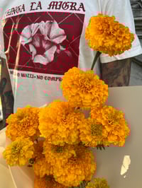 Image 3 of Día de los Muertos Fundraiser Bundle (pick up only)