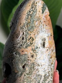 Image 7 of PEACHY GREEN VEINLESS OCEAN JASPER FREEFORM -MADAGASCAR-