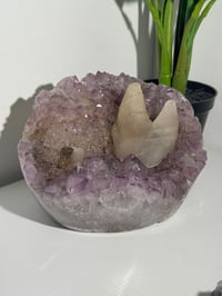 Image 4 of XXL SELF STANDING SUGAR AMETHYST X CALCITE -URUGUAY-