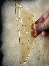 Image 17 of Copal Amber With Preserved Insects #2357