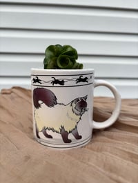 Image 1 of Hindu Rope Plant in Siamese Cat Mug