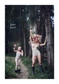 Grumble and Moan ‘BELIEVE FAERIES’ Poster