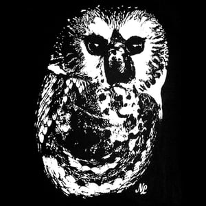 Image of Owl Tee