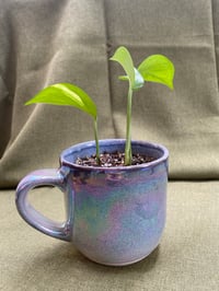 Image 2 of Golden Pothos in Purple Chrome Mug
