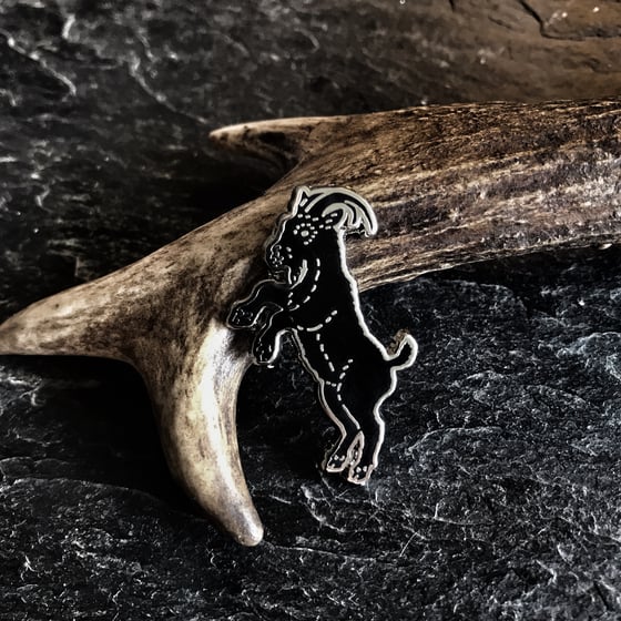 Image of The VVITCH Goat Pin