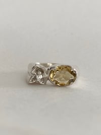 Image 1 of Golden Hour