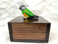 Image 3 of Handmade Custom Engraved Senegal Parrot To Your Photos Bird Urn Figurine Pet Portrait Memorial