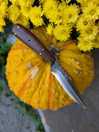 Image 1 of IRONWOOD FIGHTER HYBRID