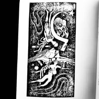 Image 17 of Yaso spécial Noctural Visit 
