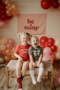 Image 1 of Valentines Minis 2024