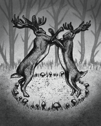 Fairy Ring Fight Club