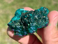 Image 10 of Dioptase Specimen | Congo #2658
