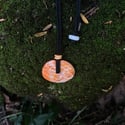 Saipan Money Bead