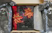 Spooky Boxes with or without book