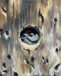 Woodpecker