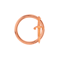 Image 3 of The Guardian