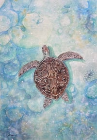 Image 2 of Green Turtle ORIGINAL 