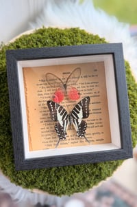 Image 3 of Wings & Words 