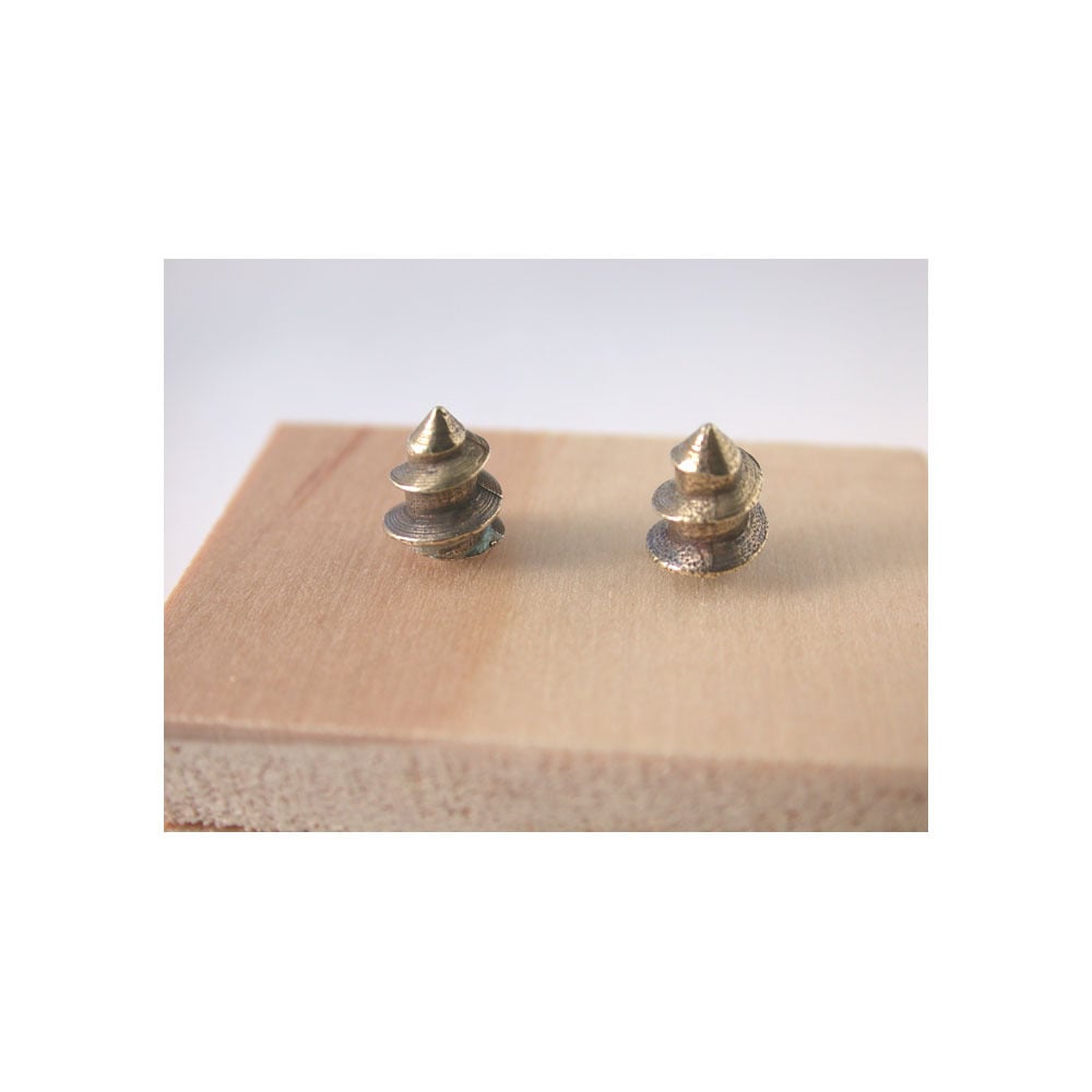 Image of screw tip earrings