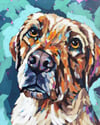 Custom Dog Portrait - Booking Fee (Email for inquiries)