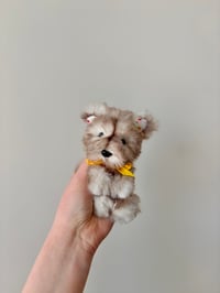 Image 1 of Sunny the Wolf Pup