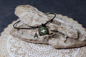 Image of Emerald Tree Boa Collection