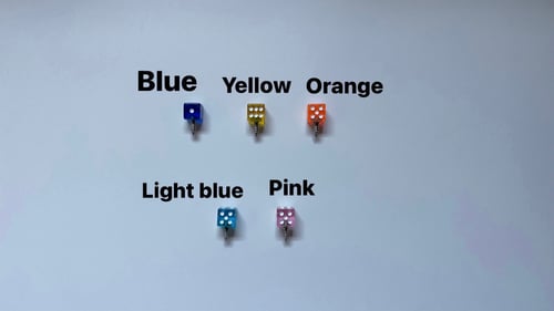 Image of Dice License Plate Screws