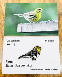 Image 1 of Serin - No.184 - UK Birding Pins