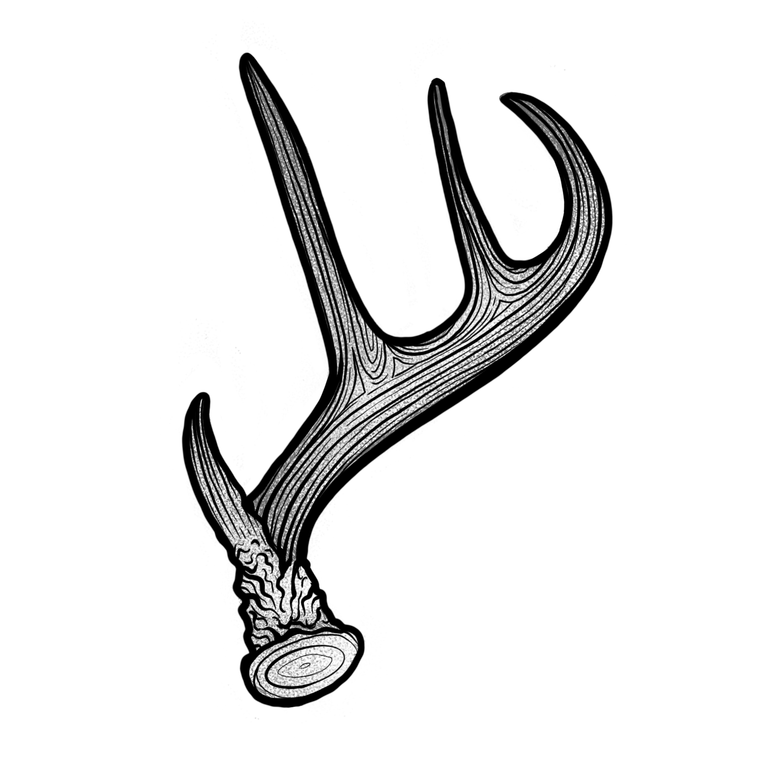 Antlers - #2 - $100 flat rate special