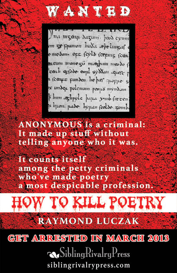 Image of How to Kill Poetry by Raymond Luczak