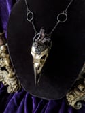 Black Quartz English Crow Skull - Necklace 