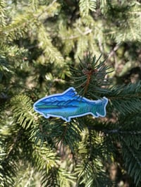 Image 2 of Carvins Cove Sticker | Roanoke Outdoors Decal | Local Virginia Art