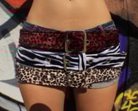 Image 1 of ANIMAL PRINT BELTS  