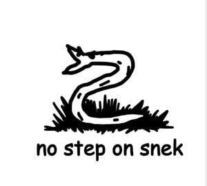 Image of No Step on Snek (x 2 decals) 