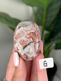Image 7 of SANGRIA LACE AGATE PALM STONES LOT 1