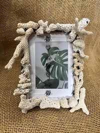 Image 7 of Coral Frame 5” x 7”