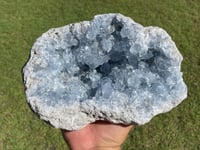 Image 9 of Celestite Cluster #1800