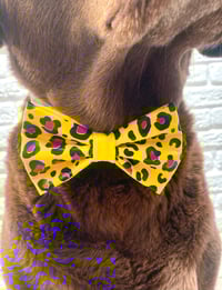 Image 5 of Neon Animal Print Bow Tie / Sailor Bow copy