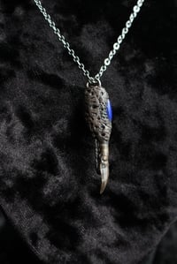 Image 6 of Dead Good Pheasant toe necklace with lapis lazuli stone