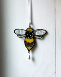 Image 5 of lil honey bee