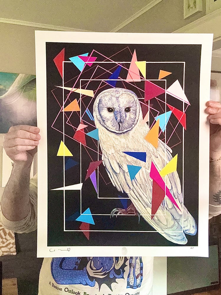 Image of 'Axiom' 17"x22" Test Print